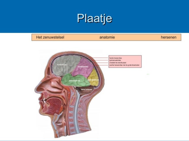 CVA, voor doktersassistentes