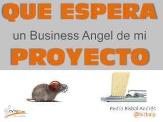 QUE ESPERA un Business Angel de mi PROYECTO Pedro Bisbal Andrés @bisbalp 