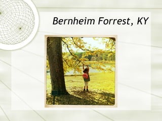 Bernheim Forrest, KY 