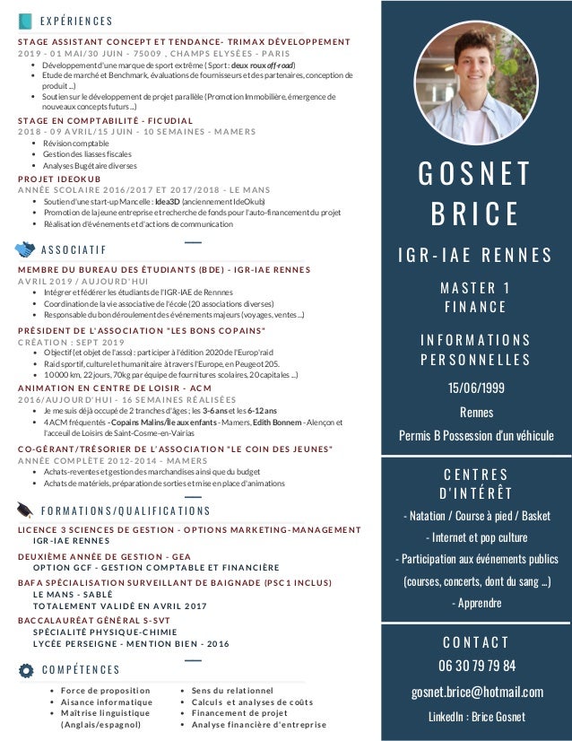 Cv Brice Gosnet