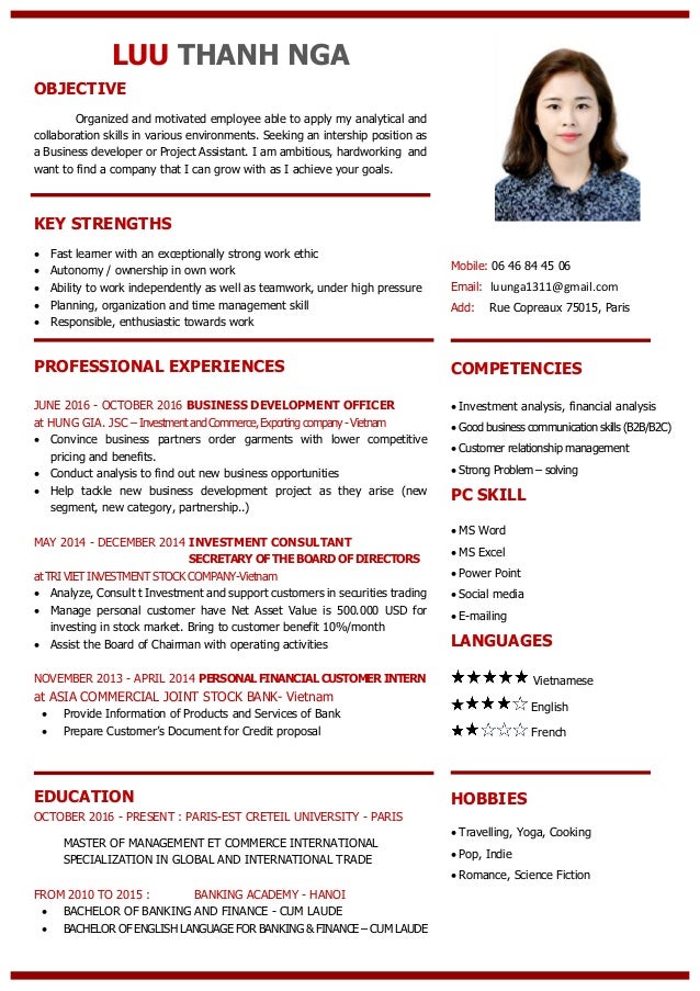 cv business development business cv