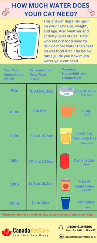 HOW MUCH WATER DOES
YOUR CAT NEED?
This answer depends upon
on your cat's size, weight,
and age. Also weather and
activity level of Cat. Cats
who eat dry food need to
drink a more water than cats
on wet food diet. The below
table guide you how much
water your cat need.
Your Cat's
Approximate
Weight
Recommended
Daily Water
Intake
Common
HouseHold Item
Comparision
7lbs 4.9 to 6.3oz Can of Tuna
10lbs 7 to 9oz 1 Cup
(8oz)
12lbs 8.4 to 10.8oz
3 wet cat
food pouches
(3oz each)
15lbs 10.5 to 13.5oz Can of soda
(12oz)
18lbs 12.6 to 16.2oz
Can of
vegetables
(14.5oz)
20lbs 14 to 18oz Pint glass
(16oz)
* These numbers are based on daily water consumptions as per weight.
(4 to 6oz)
1-800-910-6860
Mon - Sat 9AM to 6PM CST
support@canadavetcare.com
 