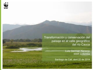 Transformación y conservación del
paisaje en el valle geográfico
del río Cauca
Luis Germán Naranjo
WWF Colombia
Santiago de Cali, abril 22 de 2014
 