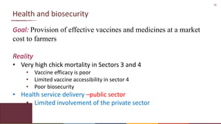 16
Health and biosecurity
Goal: Provision of effective vaccines and medicines at a market
cost to farmers
Reality
• Very high chick mortality in Sectors 3 and 4
• Vaccine efficacy is poor
• Limited vaccine accessibility in sector 4
• Poor biosecurity
• Health service delivery –public sector
• Limited involvement of the private sector
 