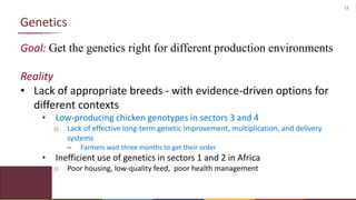 Chicken Value Chains in Africa: Some lessons