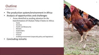 Chicken Value Chains in Africa: Some lessons
