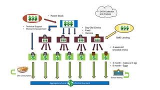 Chicken Value Chains in Africa: Some lessons
