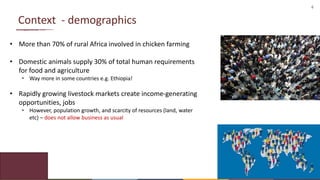 Chicken Value Chains in Africa: Some lessons