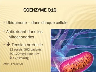 COENZYME Q10COENZYME Q10
 Ubiquinone – dans chaque cellule
 Antioxidant dans les
Mitochondries
  Tension Artérielle
12 essais, 362 patients
30-120mg/j pour ≥4w
17/8mmHg
PMID: 17287847
 