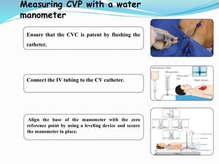 CV Care and Measurment 2026. CV Care and Measurment 2026. | PDF