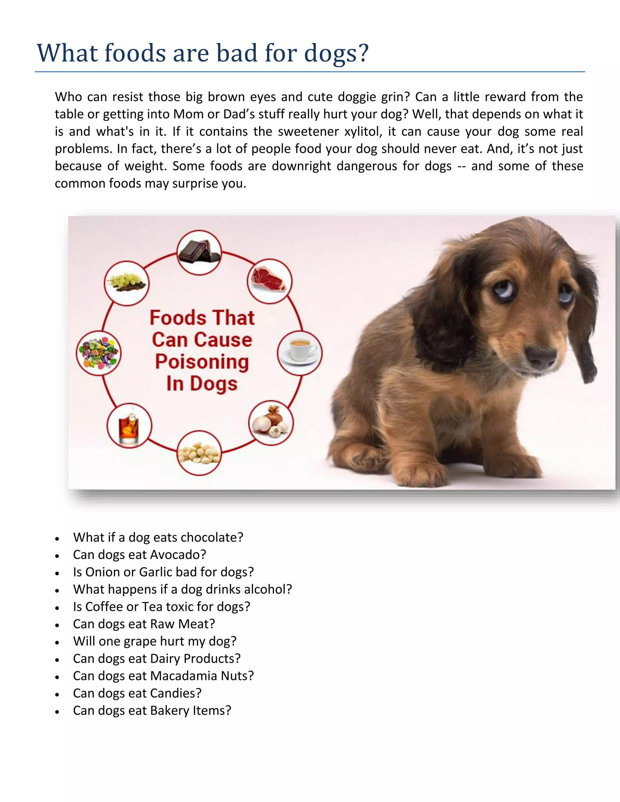 eat expired is uncooked pasta bad for dogs