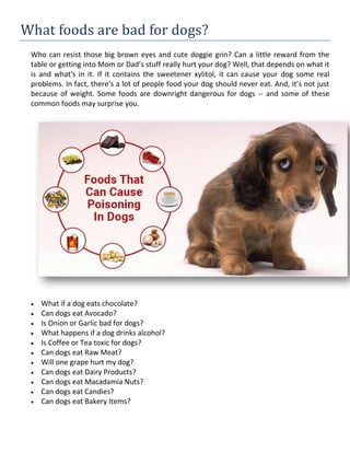 are by products bad for dogs