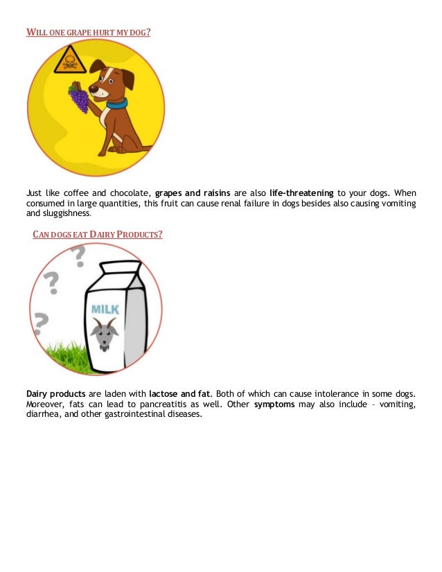 will one grape hurt a dog