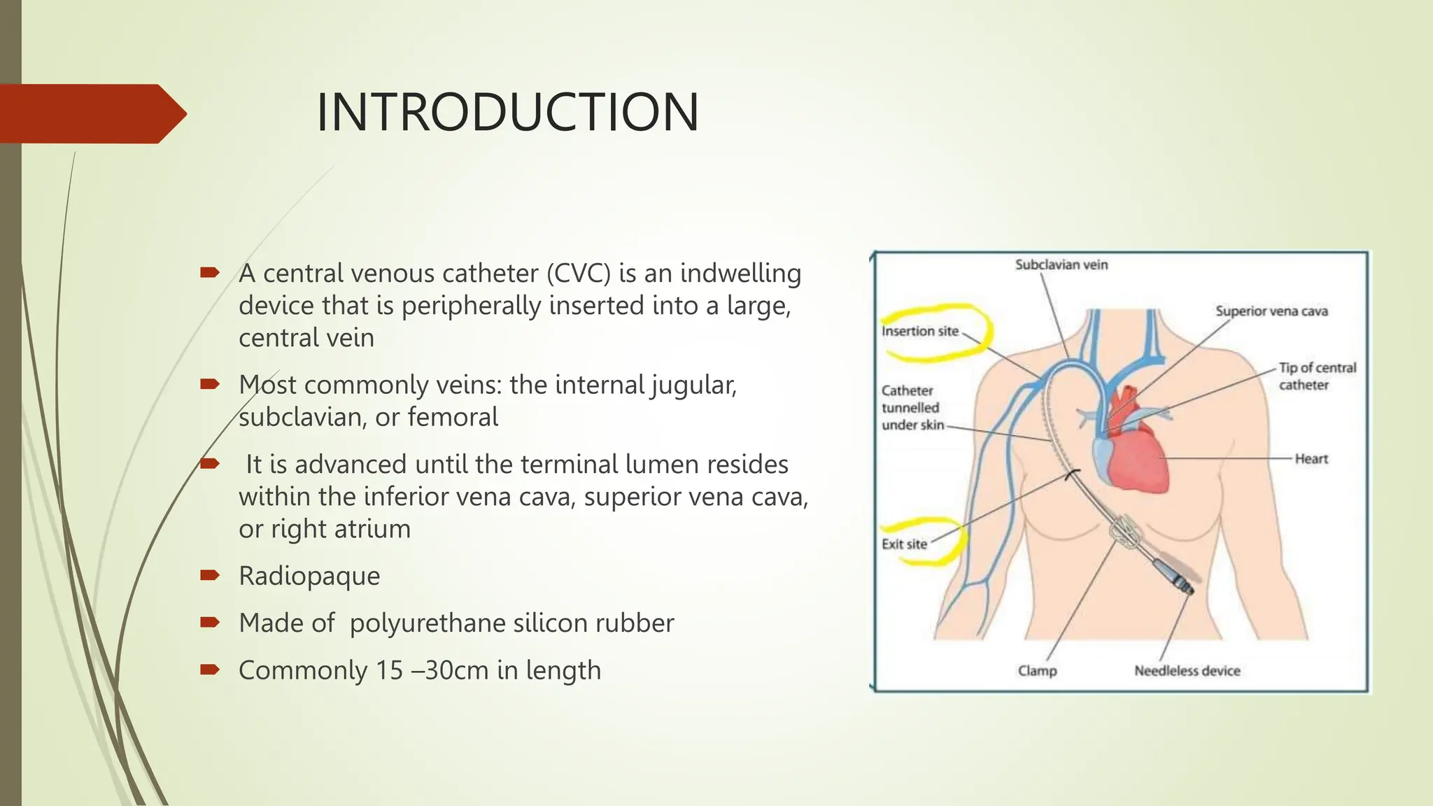 Central Venous Catheter Care - Central Line Associated Blood Stream ...