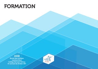 Brevet des collèges 
mention Bien 
Collège Bernard Palissy 
St Léonard de Noblat (87) 
2008 
FORMATION 
 