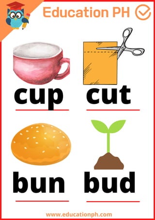 www.educationph.com
cup cut
bun bud
 