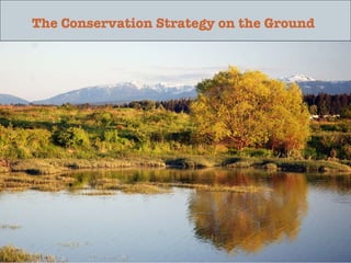 The Conservation Strategy on the Ground 