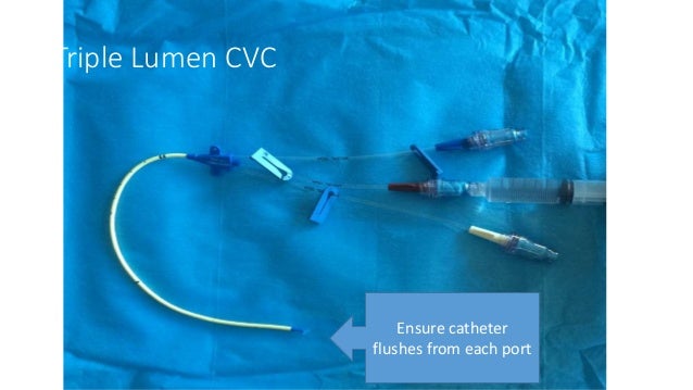 cvc workshop