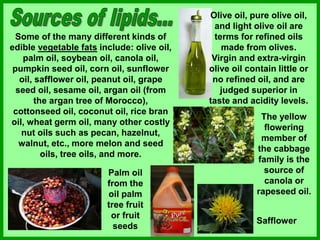Some of the many different kinds of
edible vegetable fats include: olive oil,
palm oil, soybean oil, canola oil,
pumpkin seed oil, corn oil, sunflower
oil, safflower oil, peanut oil, grape
seed oil, sesame oil, argan oil (from
the argan tree of Morocco),
cottonseed oil, coconut oil, rice bran
oil, wheat germ oil, many other costly
nut oils such as pecan, hazelnut,
walnut, etc., more melon and seed
oils, tree oils, and more.
Olive oil, pure olive oil,
and light olive oil are
terms for refined oils
made from olives.
Virgin and extra-virgin
olive oil contain little or
no refined oil, and are
judged superior in
taste and acidity levels.
The yellow
flowering
member of
the cabbage
family is the
source of
canola or
rapeseed oil.
Safflower
Palm oil
from the
oil palm
tree fruit
or fruit
seeds
 