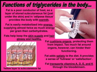 Fat cushions organs, protecting them
from impact. Too much fat around
organs, however, can hinder their
functioning.
Fat adds satiety to the diet. It provides
a sense of ‘fullness’ or ‘satisfaction’.
Fat transports vitamins A, D, E, and K
through the bloodstream.
Yellow layer is subcutaneous fat
Fat is a poor conductor of heat, so a
layer of stored subcutaneous fat (just
under the skin) and in ‘adipose tissue’
provides the body with warmth.
Fat is easily metabolized into energy,
supplying almost twice as much energy
per gram than carbohydrates.
Fats help keep the skin supple and hair
glossy and healthy.
 