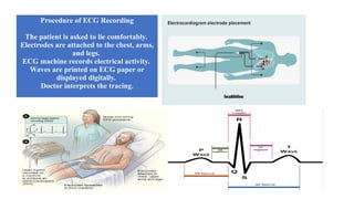 Comprehensive Overview of the Cardiovascular System: Anatomy ...