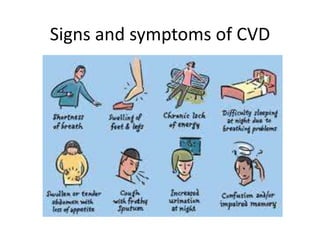 Signs and symptoms of CVD
 