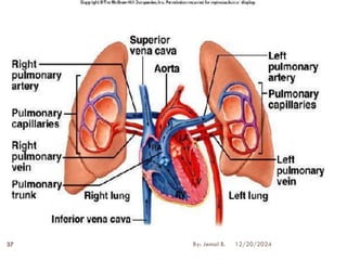 12/20/2024
37 By: Jemal B.
 