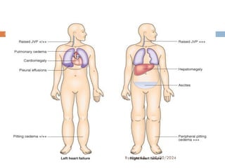 12/20/2024
39
By: Jemal B.
 