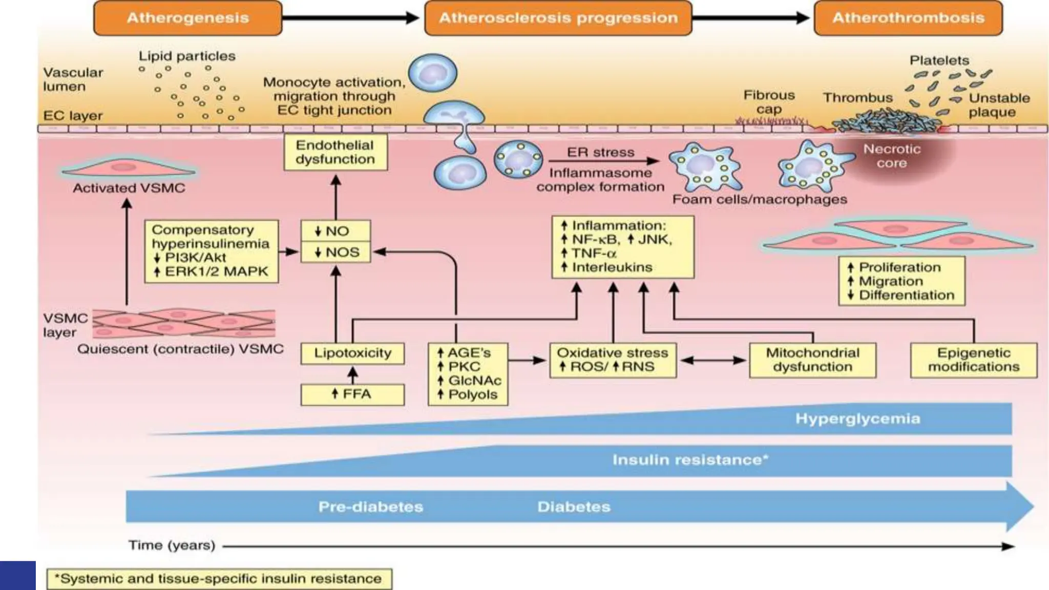 Cardiovascular disease in type 2diabetes | PPTX | Heart and ...