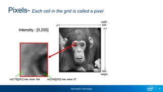 Information Technology 18
Pixels- Each cell in the grid is called a pixel
 