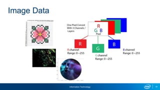 Information Technology 19
Image Data
 