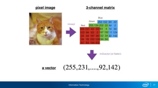 Information Technology 21
 
