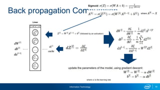 Information Technology 50
Back propagation Computation
 