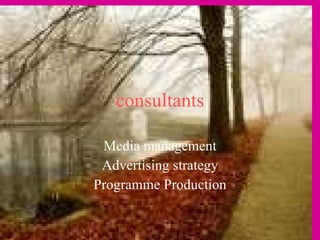 consultants Media management Advertising strategy Programme Production 