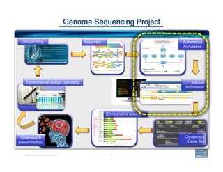 6
Genome Sequencing Project
Anatomy of a genome sequencing project
Experimental design, sampling.
Comparative analyses
Con...