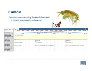 Example
Example 72
	
  Cura'on	
  example	
  using	
  the	
  Hyalella	
  azteca	
  
genome	
  (amphipod	
  crustacean).	
  
 