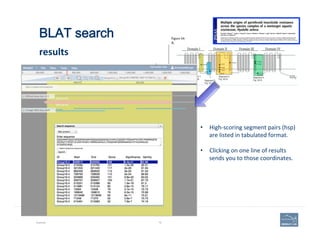 BLAT search 
 
results	
  
Example 79
•  High-­‐scoring	
  segment	
  pairs	
  (hsp)	
  
are	
  listed	
  in	
  tabulated	...
