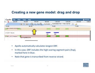 Creating a new gene model: drag and drop
Example 83
•  Apollo	
  automa'cally	
  calculates	
  longest	
  ORF.	
  	
  
•  ...