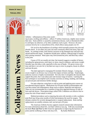 Volume 14 Issue 1

                                                    February, 2011




                                                                          Arthritis – inflammation of the joints result-
NEWSLETTER OF THE CANNON VALLEY ELDER COLLEGIIUM




                                                                          ing in pain, swelling and stiffness – affects 37 million Americans, slightly more women
                                                                          than men. Some arthritis is caused by autoimmune disease, such as rheumatoid arthri-
                                                                          tis and lupus, by infection, or by other conditions such as gout. However, the most
                                                                          common form by far is osteoarthritis (OA), which affects many people over 45.
                                                                                   OA involves the breakdown of cartilage which normally protects the joint and
                                                                          absorbs shock. It can affect any joint, but most commonly affects the knees, hips and
                                                                          hands. As cartilage erodes, bone density increases in the damaged area and joint may
                                                                          spread and become larger. Symptoms include pain, stiffness, reduced range of motion,
                                                                          and a grating sensation. Bone spurs may form around the joint, and fluid may collect
                                                         Collegium News




                                                                          in the joint.
                                                                                  Causes of OA are usually not clear, but research suggests a number of factors
                                                                          including the aging process, joint injury or stress, muscle weakness, and excess weight.
                                                                          Heredity may also play a role, especially in the case of hands. OA grows worse over
                                                                          time and there is no cure for it, but there are ways to slow its progress, lessen its affects
                                                                          and treat the pain.
                                                                                  The ideal approach to managing OA includes lifestyle changes. Losing any
                                                                          excess weight is an obvious way to lessen the impact on knees and hips. Surprisingly,
                                                                          judicious exercise is highly recommended. Not only does it strengthen the muscles that
                                                                          support the joints, but it can reduce pain and increase range of motion. Learning the
                                                                          best techniques to accomplish such everyday activities as sitting, standing, and walking
                                                                          can prevent pain and minimize further damage.
                                                                                  For pain reduction, using heat or cold on joints and applying pain creams are
                                                                          non-pharmacological options. Medications for OA pain include acetaminophen and
                                                                          over-the-counter anti-inflammatory drugs such as aspirin, ibuprofen and naproxen.
                                                                          These are not recommended for a constant or long-term approach because of side ef-
                                                                          fects and risk factors. Prescription drugs called COX-2 inhibitors are effective but in-
                                                                          crease the risk of heart attack or stroke.
                                                                                   Medical procedures such as injecting the joint with steroids or with a synthetic
                                                                          joint fluid may bring some months of relief and postpone the need for surgery. The
                                                                          ultimate solution for severely damaged joints is surgical replacement. Knee and hip
                                                                          replacements are notably common, and can last up to 20 years.
                                                                                   The American Arthritis Society supports research and provides information.
                                                                          For more information about OA, visit their website at aas.org. AAR also recommends
                                                                          the book Wear and Tear by Bob Arnot for approaches to improving the function of
                                                                          joints and the wellbeing of those who have OA.      By Kathy Mellstrom
 