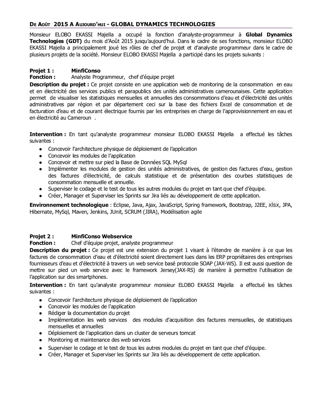 Cv analyste programmeur