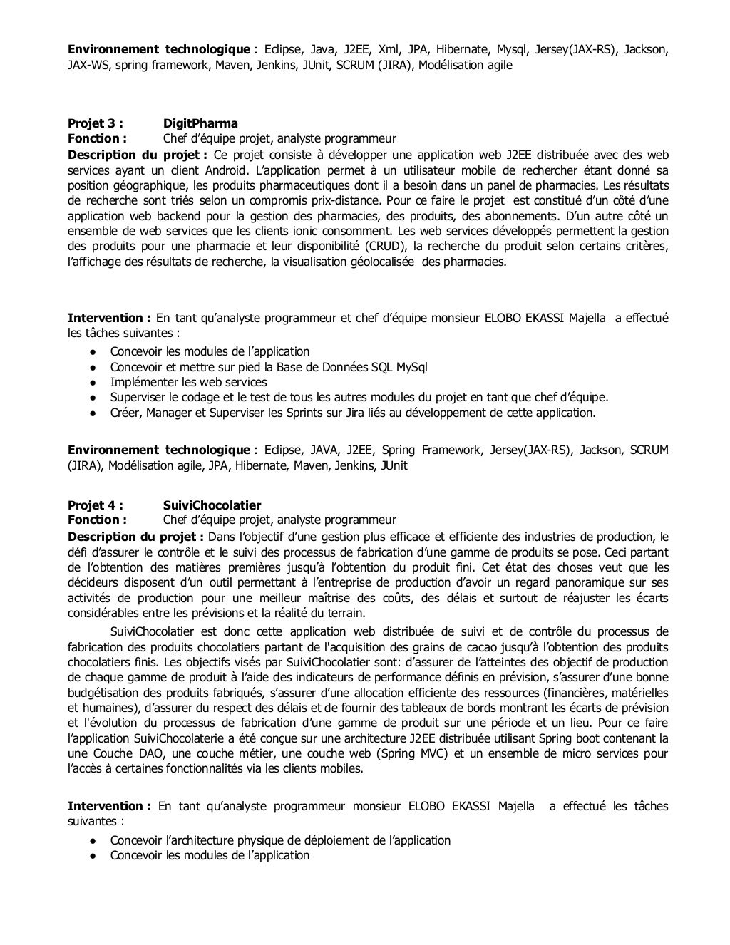 Cv analyste programmeur