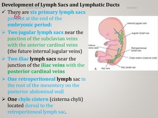 Lymphatic Sac Development cv embrio.pptx