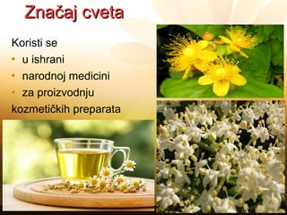 Značaj cvetaZnačaj cveta
Koristi se
u ishrani
narodnoj medicini
za proizvodnju
kozmetičkih preparata
ukras
 