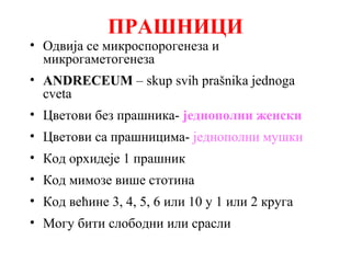 ПРАШНИЦИ

• Одвија се микроспорогенеза и
микрогаметогенеза

• ANDRECEUM – skup svih prašnika jednoga
cveta
• Цветови без прашника- једнополни женски
• Цветови са прашницима- једнополни мушки
• Код орхидеје 1 прашник
• Код мимозе више стотина
• Код већине 3, 4, 5, 6 или 10 у 1 или 2 круга
• Могу бити слободни или срасли

 