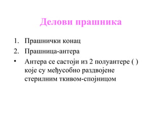 Делови прашника
1. Прашнички конац
2. Прашница-антера
• Антера се састоји из 2 полуантере ( )
које су међусобно раздвојене
стерилним ткивом-спојницом

 