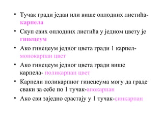 • Тучак гради један или више оплодних листићакарпела
• Скуп свих оплодних листића у једном цвету је
гинецеум
• Ако гинецеум једног цвета гради 1 карпелмонокарпан цвет
• Ако гинецеум једног цвета гради више
карпела- поликарпан цвет
• Карпели поликарпног гинецеума могу да граде
сваки за себе по 1 тучак-апокарпан
• Ако сви заједно срастају у 1 тучак-синкарпан

 
