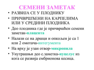 СЕМЕНИ ЗАМЕТАК

• РАЗВИЈА СЕ У ПЛОДНИКУ
• ПРИЧВРШЋЕНИ НА КАРПЕЛИМА
ИЛИ У СРЕДИНИ ПЛОДНИКА
• Део плодника где је причвршћен семени
заметак-плацента
• Налази се на дршци и опкољен је са 1
или 2 омотача-интегумента
• На врху је узан отвор-микропила
• Унутрашњи део с.заметка-нуцелус из
кога се развија ембрионова кесица.

 