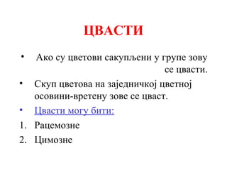 ЦВАСТИ
•

Ако су цветови сакупљени у групе зову
се цвасти.
• Скуп цветова на заједничкој цветној
осовини-вретену зове се цваст.
• Цвасти могу бити:
1. Рацемозне
2. Цимозне

 