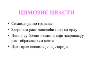 ЦИМОЗНЕ ЦВАСТИ
• Симподијално гранање
• Завршава раст доносећи цвет на врху
• Испод су бочни изданци који завршавају
раст образовањем цвета
• Цвет прве осовине је најстарији

 