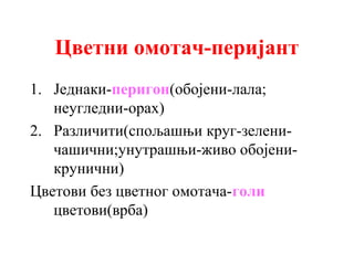 Цветни омотач-перијант
1. Једнаки-перигон(обојени-лала;
неугледни-орах)
2. Различити(спољашњи круг-зеленичашични;унутрашњи-живо обојеникрунични)
Цветови без цветног омотача-голи
цветови(врба)

 